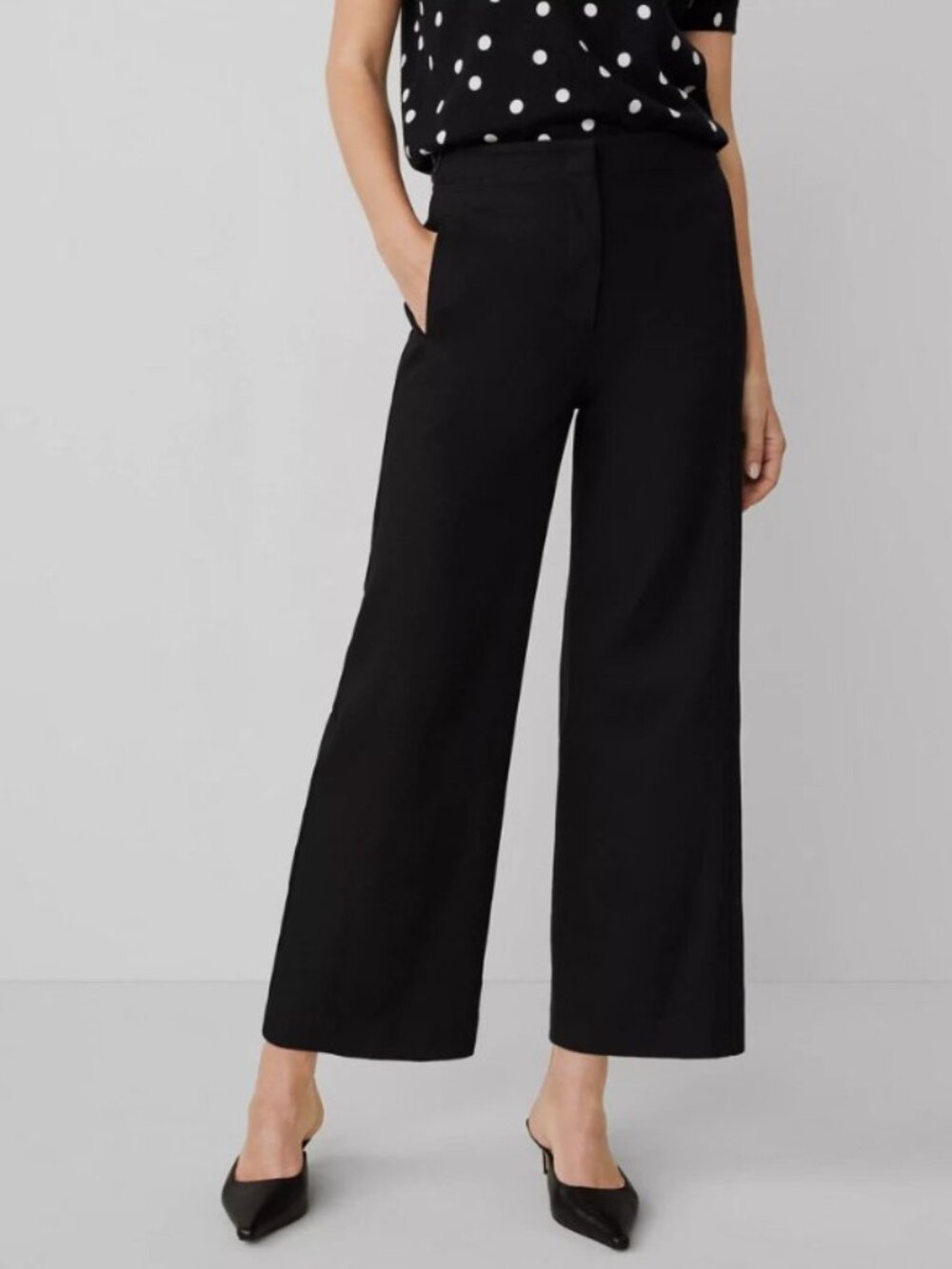 Ann Taylor The Petite Grace Straight Pant In Black, 10P